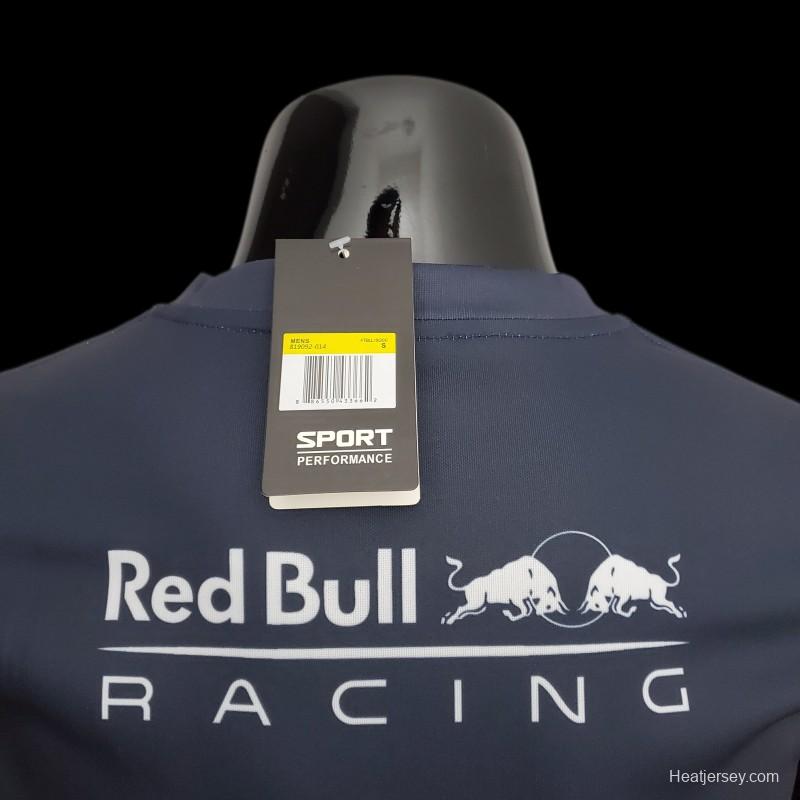 Formula 1 Red Bull 